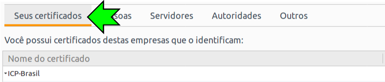 Selecionando a aba "Seus Certificados"